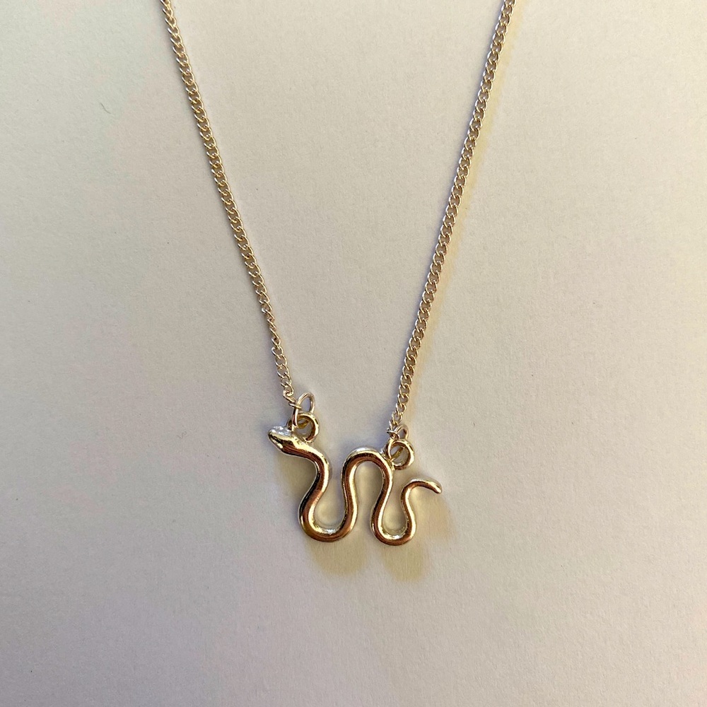 Silver snake necklace